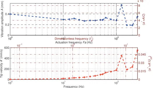 Fig. 2. Vibration amplitude of the Higher Frequency Vibrating Trailing Edge at full voltage