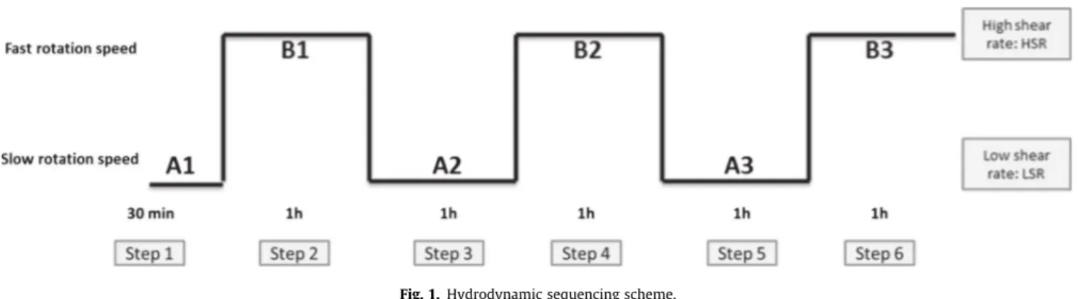 Fig. 2 presents the volume size distribution evolutions during each step with alternately low (Fig