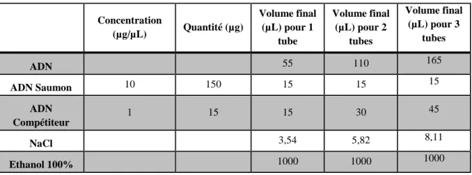Tableau 5 : Composants à ajouter pour la précipitation des sondes :  Concentration  (µg/µL)  Quantité (µg)  Volume final (µL) pour 1  tube  Volume final (µL) pour 2 tubes  Volume final (µL) pour 3 tubes  ADN  55  110  165  ADN Saumon  10  150  15  15  15  