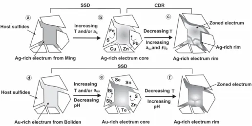 Figure  1-  10  Schematic  diagram  of  fluid  facilitated  solid-state  diffusion  (SSD)  and  coupled  dissolution- dissolution-reprecipitation (CDR) reactions resulting in compositional zoning in electrum from the Ming and Boliden deposits
