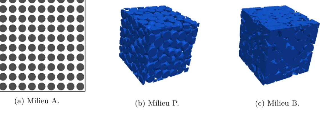 Figure 6: Phase solide σ des milieux utilisés.