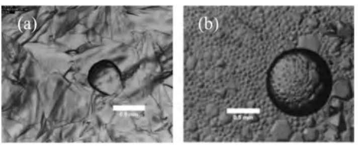 Figure 12. Drop of aqueous solution (of the same composition as the solution used to form the hydrate) put on the top of the hydrate layer formed with 1 wt % DA 50 without NaCl (a), and 1 wt % DA 50 and 4 wt % NaCl (b).