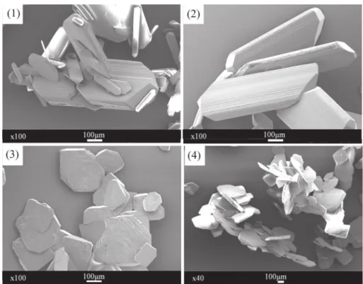 Fig. 8. Microscopic analysis at room temperature of KHT crystals from model solution without additive (1) and (2) and with the presence of CMC B (3) and (4).