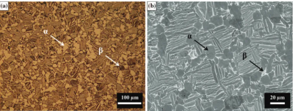 Fig. 1 Microstructure of the Ti6242S alloy: a optical observation and b SEM image (BSE mode)