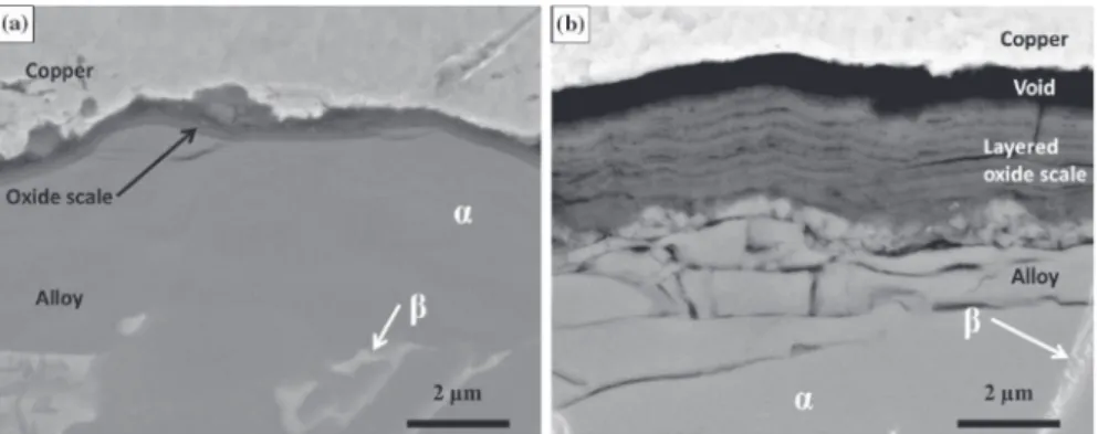 Fig. 6 SEM images (BSE mode) of the cross section of the oxide scale formed on the Ti6242S alloy a in synthetic air and b in 20%O 2 -80%Ar after 100 h at 650 °C