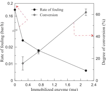 Fig. 6. Effect of amount of Enz SP deposited per membrane area on the rate of fouling and degree of conversion