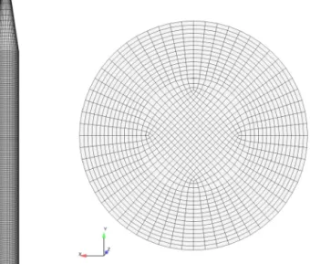Fig. 3 – 3D mesh for the numerical simulation with 277,635 cells.