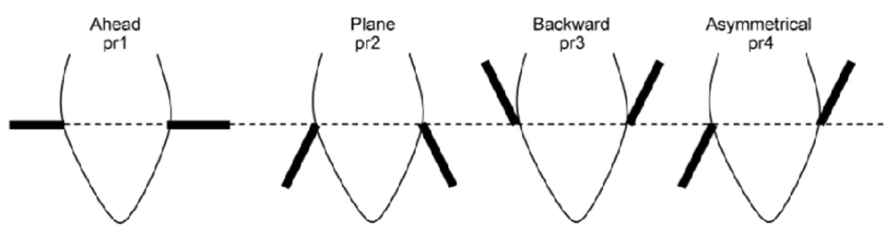 Figure 2 : Position des oreilles par rapport au plan frontal (Boissy et al. 2011).