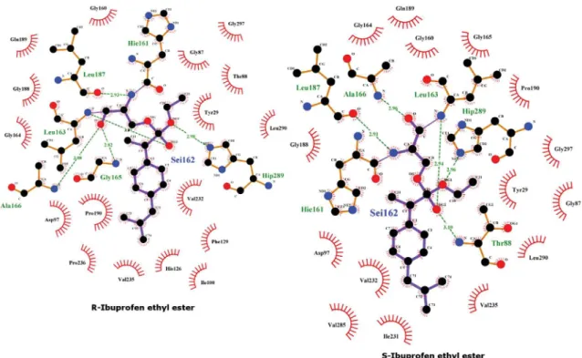 Figure 3. Representation of interactions between (R)- or (S)-ibuprofen ethyl ester with wild-type Lip2p enzyme