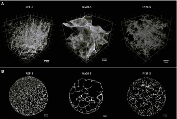 Fig. 3. Micro-CT analysis of scaffolds. (A) 3D micro-CT reconstruction of a ROI of REF-S, Mx20-S and F127-S