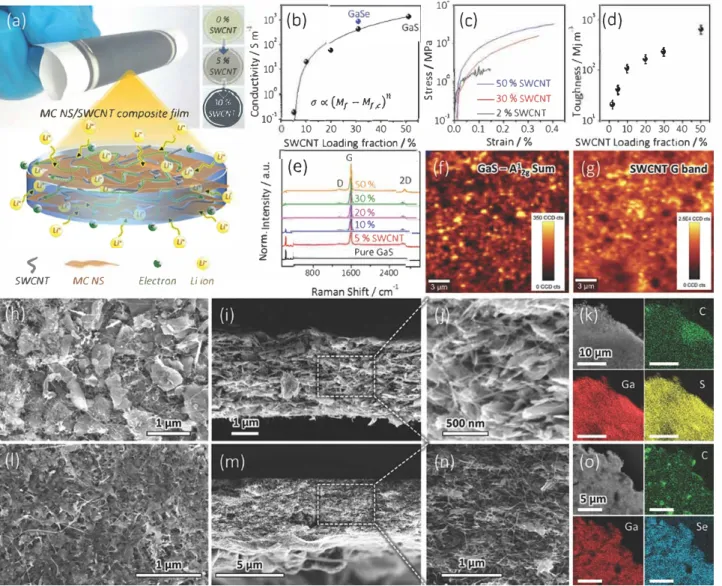 Figure 2.  a) Schematic describing the critical rote of SWCNT in constructing a multiscaled hierarchical nanostructure
