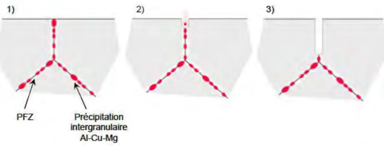 Figure II.4 : Schémas présentant les principaux mécanismes de corrosion intergranulaire de  l’alliage   (Augustin , 2008) 