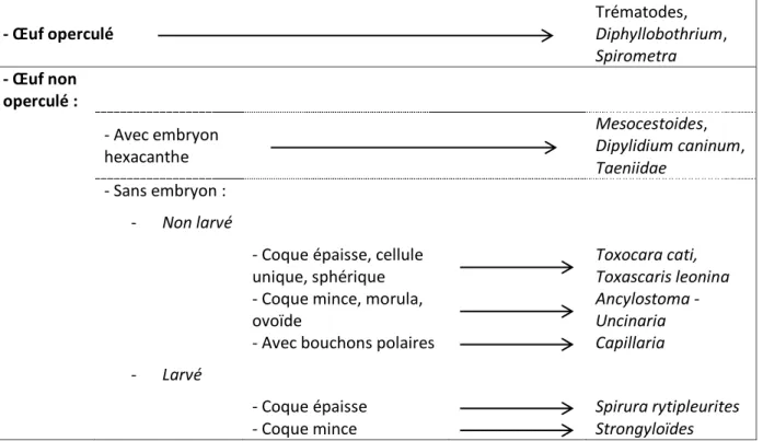 Figure 10 :  Clef de diagnose des principaux œufs d’helminthes chez le chat (Beugnet et al