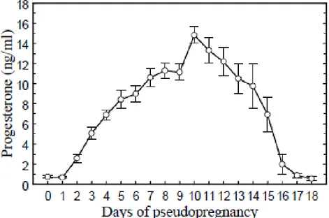 Figure 2 : Concentrations plasmatiques en progestérone durant la pseudogestation chez la  lapine