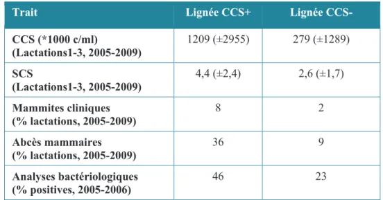 Tableau  3  :  Caractéristiques  des  lignées  divergentes  CCS+  et  CCS-  de  brebis  Lacaune  (Allain, C