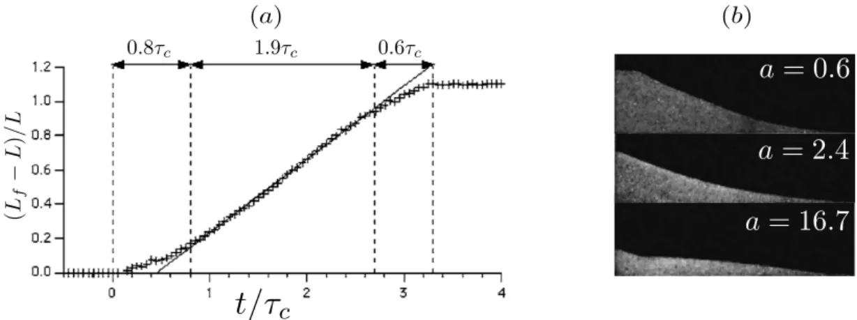 Figure 1.10 – (a) Evolution temporelle de la position du front sous forme adimensionnelle avec τ c =