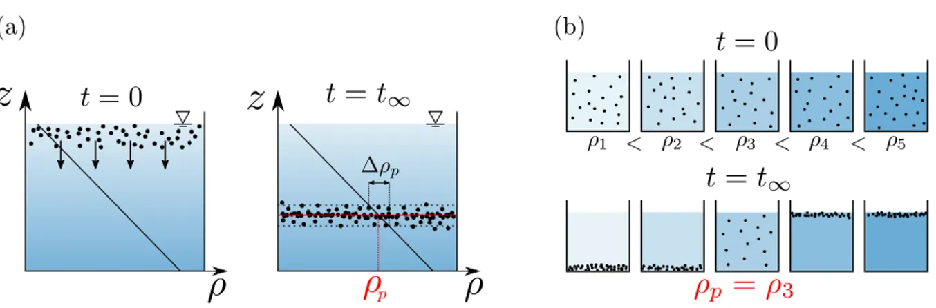 Figure 2.9 – Méthodes de mesure de la masse volumique des billes de polystyrène (notée ρ p ) avec un fluide stratifié en densité (a) et avec des solutions salées homogènes (b).