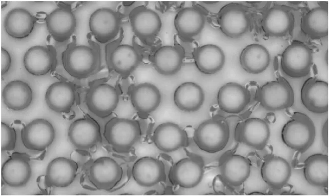 Figure II.13. Exemple de visualisation d’écoulement diphasique dans la cellule d’essai