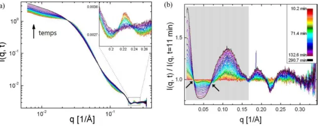 Figure I.20. Courbes SAXS en fonction du temps d’une solution avec   mg/mL de BLG et   mM de  YCl  lors d’une rampe de température de   à  °C (Sauter et al., 2016)