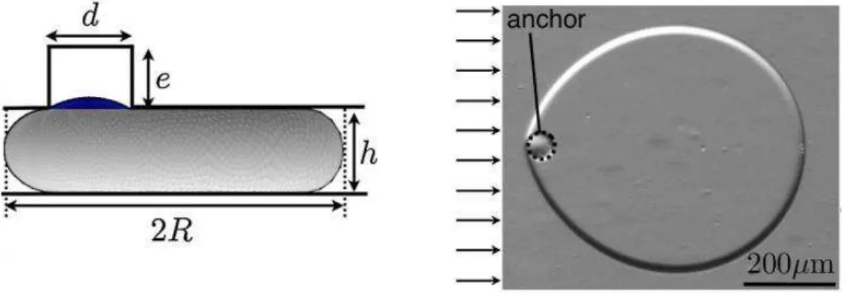 Figure I.31. )llustration du gain de surface d’une goutte entrant dans un puit (Dangla et al., 2011)