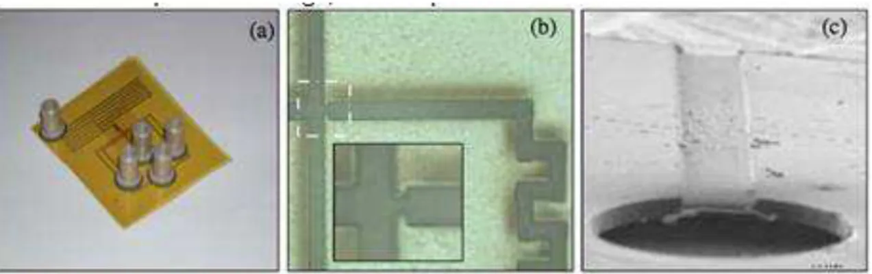 Figure  I.44.  Photographie  de  puce  microfluidique  en  Kapton,  compatible  avec  des  radiations  de  source synchrotron (Barrett et al., 2006a) 