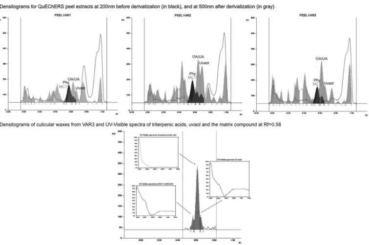 Fig. 6. Densitograms of QuEChERS extracts of peel spiked with pesticide standards before and after chemical derivatization, at 200 nm (in gray) and 500 nm (in black) (A) and HPTLC/UV–vis characterization of terpenoids in apple cuticular waxes (B).