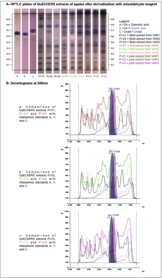 Fig. 2. HPTLC (Silica Gel plates) proﬁles (A) and densitograms at 500 nm (B) after the derivatization with anisaldehyde of QuEChERS extracts of apples from VAR1 (a), VAR2 (b) and VAR3 (c).