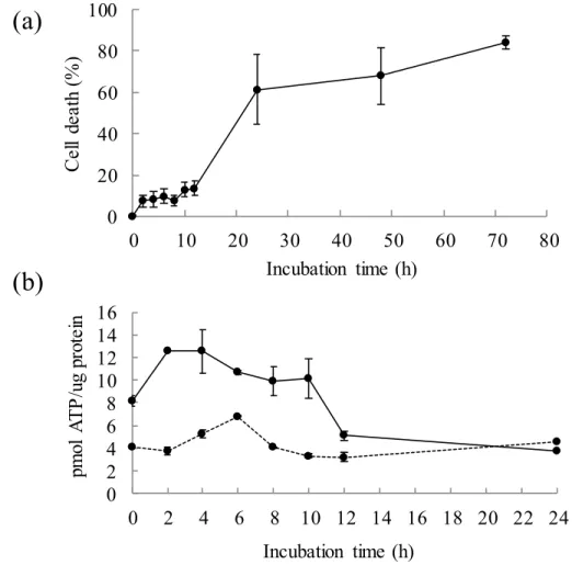 Fig. 5. Lactate dehydrogenase (LDH) leakage (a) and ATP content (b) of bovine liver slices  according to different incubation intervals