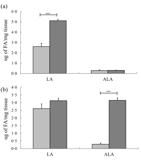Fig. 7. Linoleic acid (LA) and α-linolenic acid (ALA) concentrations in bovine liver slices  exposed to 300 µM of LA (a) and 300 µM of ALA (b)