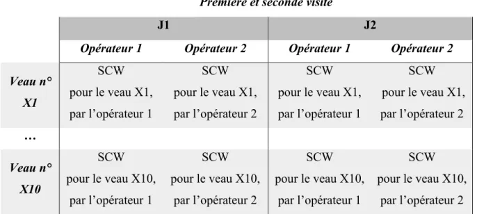 Tableau 2 : Description de la notation des 40 veaux sélectionnés pour analyser la variabilité  du SCW, répartis sur trois sessions 