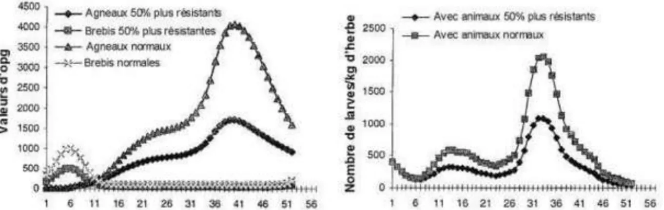 Figure  12  :  Effets  prédictifs  de  la  mise  au  pâturage  d'ovins  résistants  (ne  permettant  l'établissement  que  de  50  %  des  larves ingérées) sur l'excrétion d'œufs et sur le nombre de larves sur la pâture (MCEWAN, 1994) [187] 
