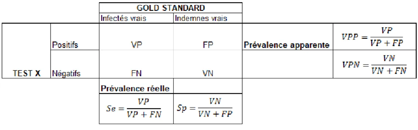 Tableau 3 : Sensibilité, spécificité et valeurs prédictives d’un test avec VP = vrais positifs, FP = faux positifs, FN =  faux négatifs et VN = vrais négatifs 
