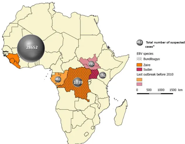 Figure 1. History and severity of Ebola outbreaks - Data from the table 1, adapted with QGIS,   Geographical Information System software - *The total number of cases was grouped accordingly:  Guinea, Liberia and Sierra-Leone ; Gabon and Republic of Congo ;