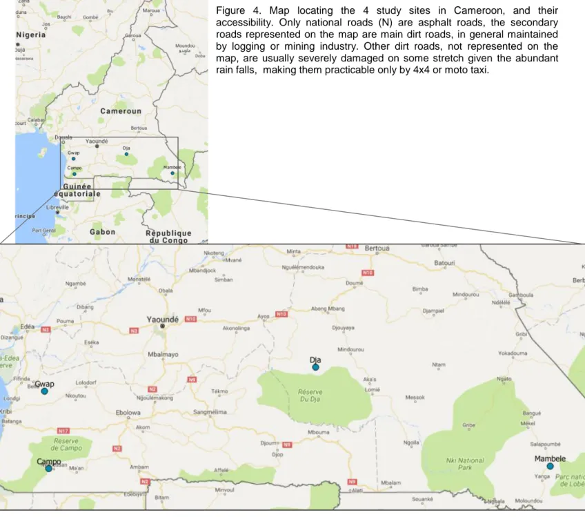 Figure  4.  Map  locating  the  4  study  sites  in  Cameroon,  and  their  accessibility