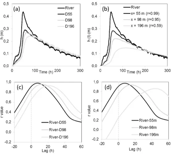 Figure 10. Water table responses to a flood event at different distances from the river: (a) measured in this  study and (b) simulated using Dong et al