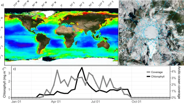Figure  0.2a  presents  the  global  chlorophyll  concentration  binned  over  a  whole  year,  illustrating  the  full  potential  of  ocean  color  over  the  open  ocean