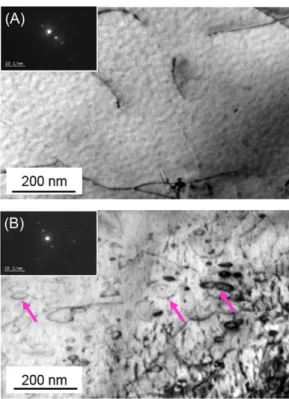 Fig. 10. &lt;a&gt;-type dislocation loops in CP Ti grade 2 irradiated at 430°C: (A) 0.6 dpa high flux and (B) 0.6 dpa low flux