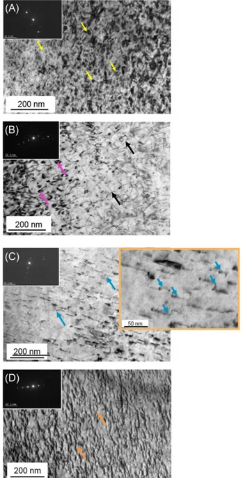 Table 3. Evolution of the dislocation density for CP Ti grade 2 at the as- as-received state, after annealing of 6 h and after irradiation at 0.6 dpa (high flux and low flux) and 3 dpa high flux