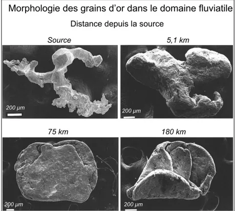 Fig. II. Images MEB de grains d'or provenant de la source et de sédiments fluviatiles (modifié d’après Youngson and Craw, 1999)