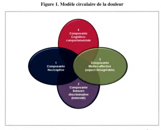 Figure 1. Modèle circulaire de la douleur 