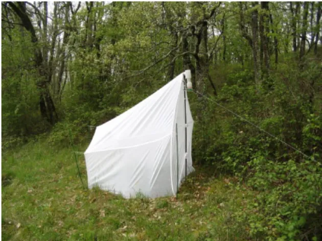 Figure 1: Modified Malaise trap, set up for emerging insects studies.