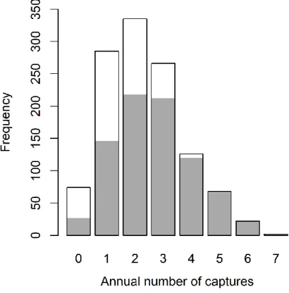 Figure S2.1 Distribution of the annual number of captures of male bighorn sheep at Ram  Mountain, Alberta, Canada