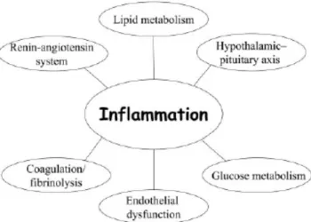 Figure 10. Illustration de l’influence de l’inflammation sur le système endocrinien.  Tirée de Bruunsgaard (2005)