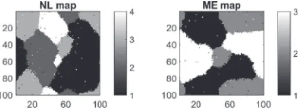 Fig. 2. Label maps associated with (left) the NL synthetic image, (right) the ME synthetic image.