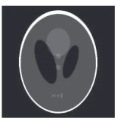 Fig. 11 “Phantom” image used in this experiment. Its gradient is unknown, so we approximate it numerically by first-order forward differences