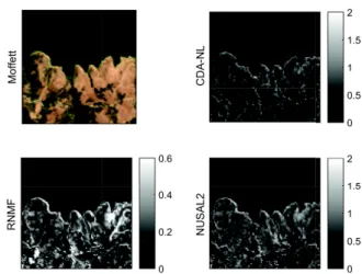 Table 1. Results on the LMM-NL based synthetic image. RMSE