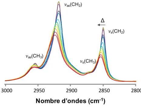 Figure 2.2. Bandes de vibration de la région CH (3000-2800 cm -1 ) de DMPC:DMPG (1:1), avec, dans 