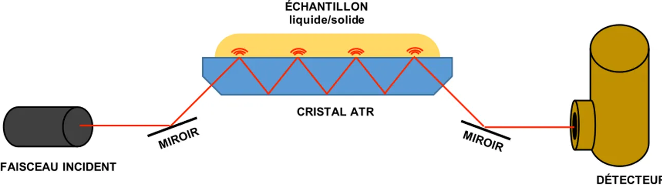 Figure 2.8. Illustration d'un montage ATR multi-réflexions, avec le parcours du faisceau infrarouge entre 