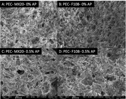 Figure 2: SEM photographs of bionanocomposite scaffolds in comparison to reference pectin  scaffolds 