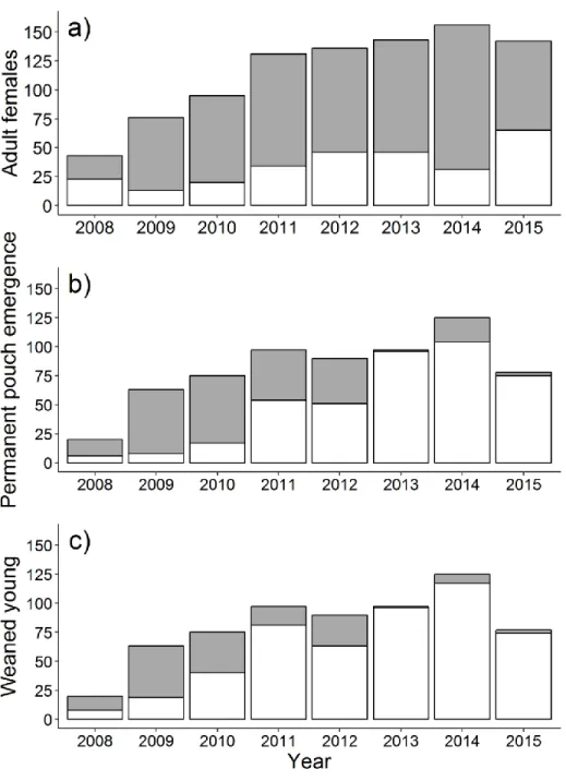 Figure 3. a) Number of marked female kangaroos aged 3 years and older that did (grey bars)  and did not (white bars) attempt to reproduce at Wilsons Promontory National Park, Victoria,  Australia each year from 2008 to 2015